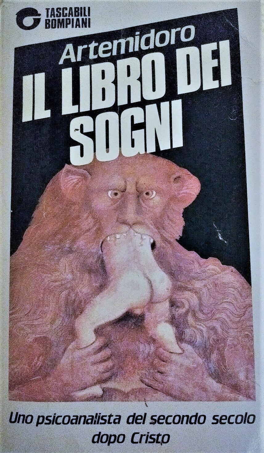 Copertina di Il libro dei sogni